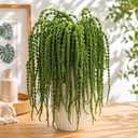 10Pcs Amaranthus Artificial Hanging Plants Fake Amaranthus Flower Bleached Wisteria 33" Long Hanging & Cascading Flowers for Wedding Floral Arrangement,Home Garden Decor,Party Supplies