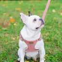 Dog Harness and Leash Set, XXS No Pull Adjustable Puppy Harness with Multifunction Pink Dog Leash and Dog Collar, Soft No Choke Escape Proof Pet Harness Vest for Small Dogs and Cats (Red, XXS) (XXS(2.2-6lb))