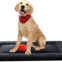 Ultra Soft Dog Bed & Kennel Pad for Metal Crates, Washable & Anti-Slip, Cozy Sleeping Mat (36in, Dark Gray) (36.0"L x 23.0"W x 1.0"Th)