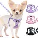 Lukovee No Pull Puppy Harness and Leash Set - Soft Lightweight Escape Proof Puppy Vest Harness, Breathable Adjustable Pet Harness with Dog Leash for Dogs (Purple, XXS) 