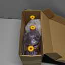 Reusable Patron Bottles with Straw - 12oz Acrylic Patron Cups Empty for Drinks, Party Cups with Lid and Reusable Straw Ball Cocktail Cup, Champagne Bottles Party Gifts for Wine, Alcohol, Tequila