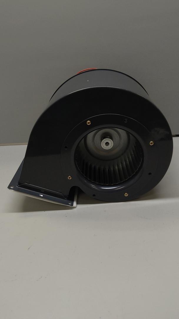 Electric Motor