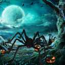 3 x Halloween Decorations Big Giant Spider 4.9 Ft Black Soft Hairy Scary Spider Fake Large Pops for Halloween Outdoor Yard Party