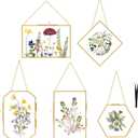 FOCHIER F 5 Pcs Pressed Flower Frames with Tweezers, Wall Hanging Tabletop Display Double Glass Frames with Metal Chain for Pressed Dried Flowers Plants, Horizontal and Vertical Picture Frame, Golden