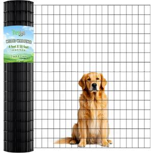 Garden Mesh Fence - 4ft x 50ft, 2" x 3" Mesh, Chicken Coop & Poultry Netting, Animal Barrier & Border Fencing (4 ft X 50 ft)