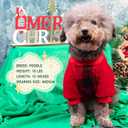 cyeollo Dog Christmas Sweater Warm Dog Winter Coats Buffalo Plaid New Year Puppy Doggie Sweatshirt Flannel Cold Weather Coats Pet Clothes for Small Dogs Size S (Red)