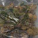 Whaline Christmas Pine Cone Berry Pine Branch Set Pinecone Pendant Gold Winter Ornament for DIY Craft Home Decor Xmas Tree Gift Tag Party Supplies, Assorted Sizes