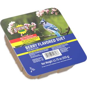 Audubon Park 13066 Berry Treat Suet Cake Wild Bird Food, 11.75-Ounces