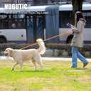 Dog Leash 6 FT Handmade Braided Cotton Rope Leashes for Small Medium and Large Dogs, New Golden Heavy Duty Metal Clasp, Colorful Macaron
