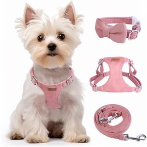 Dog Harness and Leash Set, XXS No Pull Adjustable Puppy Harness with Multifunction Pink Dog Leash and Dog Collar, Soft No Choke Escape Proof Pet Harness Vest for Small Dogs and Cats (Red, XS) (XS(4.5-11lb))