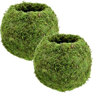 KO02 Kokedama-6.5 x 5.9, Set of 2, Green