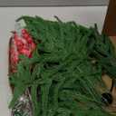 Christmas Advent Wreath Ring DIY Advent Candle Holder Traditional Catholic Christmas Decoration Set for Church Table Centerpiece Holiday Decorations Gift (Norfolk Pine)