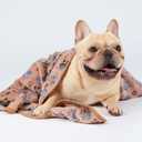 Luciphia 1 Pack 3 Blankets Super Soft Fluffy Premium Fleece Pet Blanket Flannel Throw for Dog Puppy Cat Paw Brown/Pink/White Small(23x16 inch)
