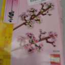 LEGO Cherry Blossom Building Toy for Kids, Girls & Boys, Ages 8+ - Artificial Cherry Blossom Decor for Home & Display - Creative Gift Idea for Plant & Flower Lovers - 40725