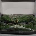 GIAUMA 9FT Norfolk Pine Garland Realistic - Thick Deluxe Faux Christmas Greenery Garland Artificial Green Winter Pine Garlands for Mantle Staircase Table Indoor Outdoor Xmas Holiday Decoration : Home & Kitchen