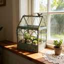 Vintage Glass Terrarium Greenhouse Large House Shape Plant Display Box Planter Container for Fern Moss Cacti Succulents Mordern Tabletop Decor Gardern DIY Kit Gift