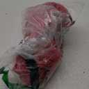 Women's 5pcs Lingerie Costume Bra and Maxi High Slit Skirt Set Roleplay Belly Dancer Costumes Western Exotic Outfits Red, Large