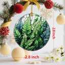 2 x Lush Fern Christmas Ornaments: Christmas Decorations for Tree & Holiday Decor  Holiday Presents, Gift Ideas for Friends, Coworker, Family, Plant Lover, Nature Lover, and Gardener