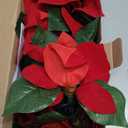 8.5FT Christmas LED Flower String Lights, Christmas Decorations Lights Outdoor with 10 LED Red and Green Flowers Bulbs, Plug in Flower Fairy Light for Xmas Tree Wedding Garden Porch Floral Decor