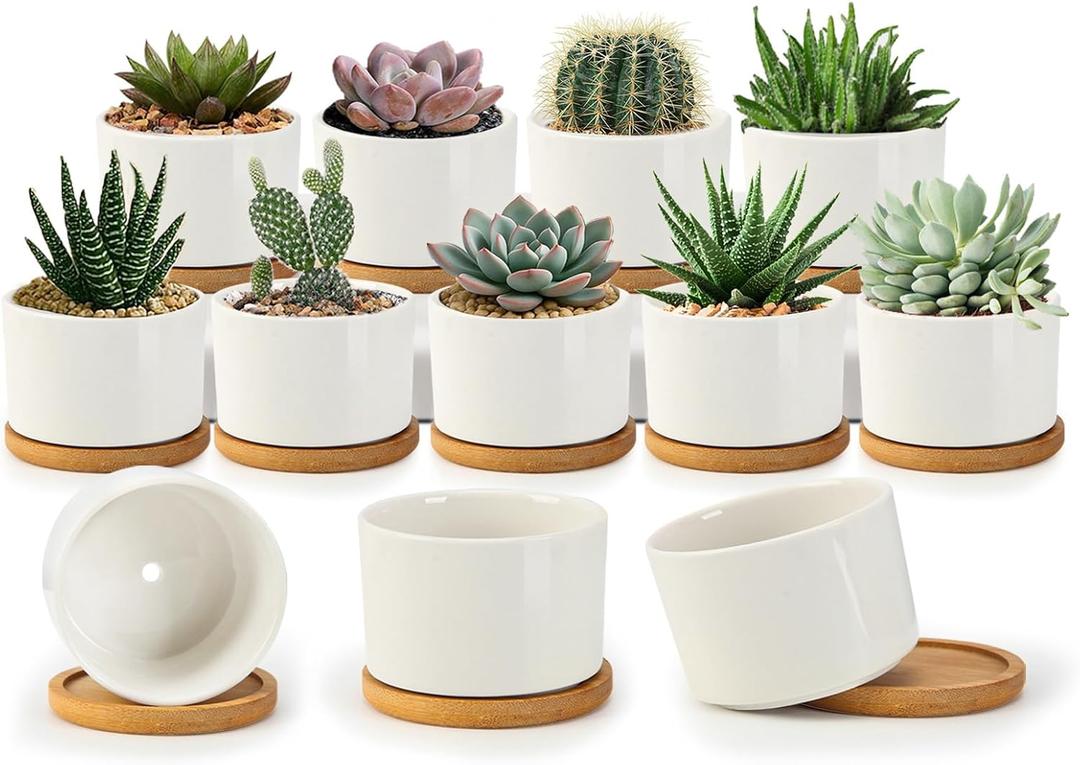 ZOUTOG Succulent Pots 3.1 Inch,Succulent Planters 12 Pack,Small Pots for Plants with Drainage and Tray,White Ceramic Flower Planters for Indoor Plants,Home,Office,Desk