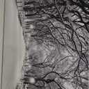 Large Winter Scene Canvas Pictures Lighted for Wall Decor, Xmas LED Canvas Wall Art w/ Timer, Light Up Snowy Path Hanging Artwork, Peaceful Night Landscape Paintings Prints Lit Up w/ Twinkling Lights