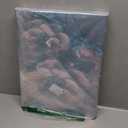 CCWORKERRY White and Teal Flower Canvas Wall Art for Living Room Set of 2 Botanical Floral Pictures Abstract Floral Painting Artwork Framed(Teal,12"x16"x2Pcs)