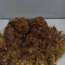 Vitorish 12 Inches Afro Curly Wigs for Black Women Afro Bomb Kinky Curly Wig with Bangs about 280g Fluffy and Soft Glueless Synthetic Hair Afo Wig (Ombre Blonde)