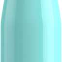 Contigo Ashland Chill 2.0 Insulated Stainless Steel Water Bottle, 32oz, Jade Vine (32oz (Pack of 1))