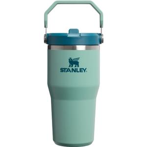 STANLEY IceFlow 2.0 Flip Straw Tumbler with Handle 20 oz | Twist On Lid and Flip Up Straw | Leakproof Water Bottle | Insulated Stainless Steel | BPA-Free | Spring Green
