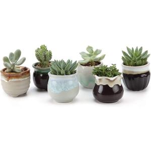 T4U Mini Ceramic Succulent Pots with Drainage - Set of 6, Tiny Pots for Plants, Home and Office Decor, Plant Lover Gifts for Women (Flowing Glazed)