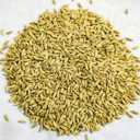 Thunder Acres Organic Winter Rye Seeds, Non-GMO (3 lb) (EXP 06/08/28)