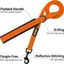 azuza Durable Padded Dog Leash and Collar Set,Reflective Strip Extra Safe and Comfy for Large Dogs, Orange