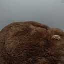 PetJett Calming Dog Bed Medium Size Dog - 30'' Donut Bed, Anti-Slip & Washable Super Soft Fluffy Plush Round Bed, Anti-Anxiety Premium Comfort Pet Bed, Fits Dogs up to 45 lbs - Brown