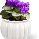 African Violet Pots, Self-Watering Ceramic Planter  6 Inch Pot for Indoor Plants, Succulents, Herbs & Small Houseplants, Simple Self-Watering Design for Home & Office Dcor, White (White-pumpkin Shape)