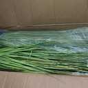 4ft Tall Artificial Pampas Grass, 4 Pcs Faux Plants for Indoor Outdoor Floor Decor, Large Greenery for Garden Patio Home Lobby
