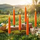 6 Pcs Easter Carrot Taper Candles Carrots Shaped Candlestick Easter Farmhouse Candle Decorations Simulated Vegetables for Dinner Table Centerpiece Decor Spring Party Decoration