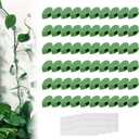 2025 Summer Plant Clips for Climbing Plants, Self Adhesive Plant Support Clips Invisible Wall Vines Fixing Clips Hook, Upgrade Wall Vines Fixing Clips Plant Climbing Wall Fixture Clips (100, Green)