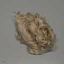 Short Blonde Curly Wigs for Women Synthetic Natural Looking Daily Party Halloween Wig for White Women
