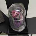 Valentines Day Flowers Roses Gifts for Women Her,Forever Preserved Rose in Glass Dome, Valentines Anniversary Birthday Real Roses Gifts for Wife Women Girlfriend Best Friend/Purple