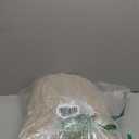 Sunbeam Royal Ultra Fleece Heated Electric Blanket Queen Size, 90" x 84", 12 Heat Settings, 12-Hour Selectable Auto Shut-Off, Fast Heating, Machine Washable, Warm and Cozy, Pebble