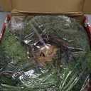 9 FT Christmas Cedar Garland, Thick Green Cypress Garlands, Real Touch Pine Garlands, Realistic Garland Christmas Decorations for Outdoor Indoor Table Mantel Railing Stair Porch Decor (Style-2)