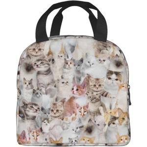 Cute Cat Lunch Bag Zipper Closure Leakproof Insulated Lunch Box Cooler Tote Bag Food Container Snack Bag (One Size)