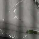 Clastyle 36L Boho Tropical Animal Tree Elephant Kid Storage Basket Rectangle Giraffe Lion Tiger Clothes Toy Nursery Bin Book Shelf Basket