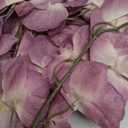 4 Pcs Silk Artificial Orchid Flowers Stem, 8 Heads Faux Phalaenopsis Flowers Branches 27.5'' Artificial Flowers Plants for Pots Vase Decor (Purple)