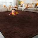 8x10 Area Rugs for Living Room Bedroom, Large Area Rug Shaggy Carpet Soft Plush Furry Bedside Rug, Rugs for Home Decor (Coffee, 8 x 10)