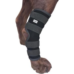 Labra Dog Rear Leg Hock Joint Compression Wrap - Supportive Brace for Weak Back Legs, ACL Tear, and Joint Discomfort - Adjustable Hind Leg Support for Senior Dogs - Large