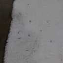 White Area Rug for Living Room: White Shag Rugs for Bedroom - Fluffy Area Rug 5x8 Plush Shaggy Carpet for Living Room,Bedroom