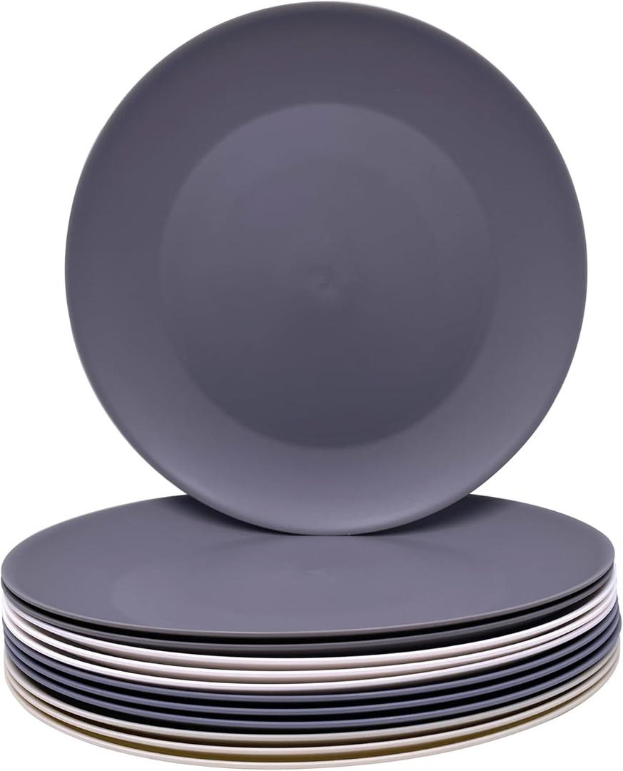 AOYITE Plastic Dinner Plates Reusable, Unbreakable Salad Plates set of 12, BPA Free Microwave & Dishwasher Safe Party Plate for Any Occasion, BBQ, Travel, Events (Grey Stone)