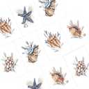 Sea Shell Greeting Cards - Set of 10 All Occasion 5 x 7 Note Cards with Envelopes. Blank Inside. Watercolor Designs of Seashells, Starfish and Coral