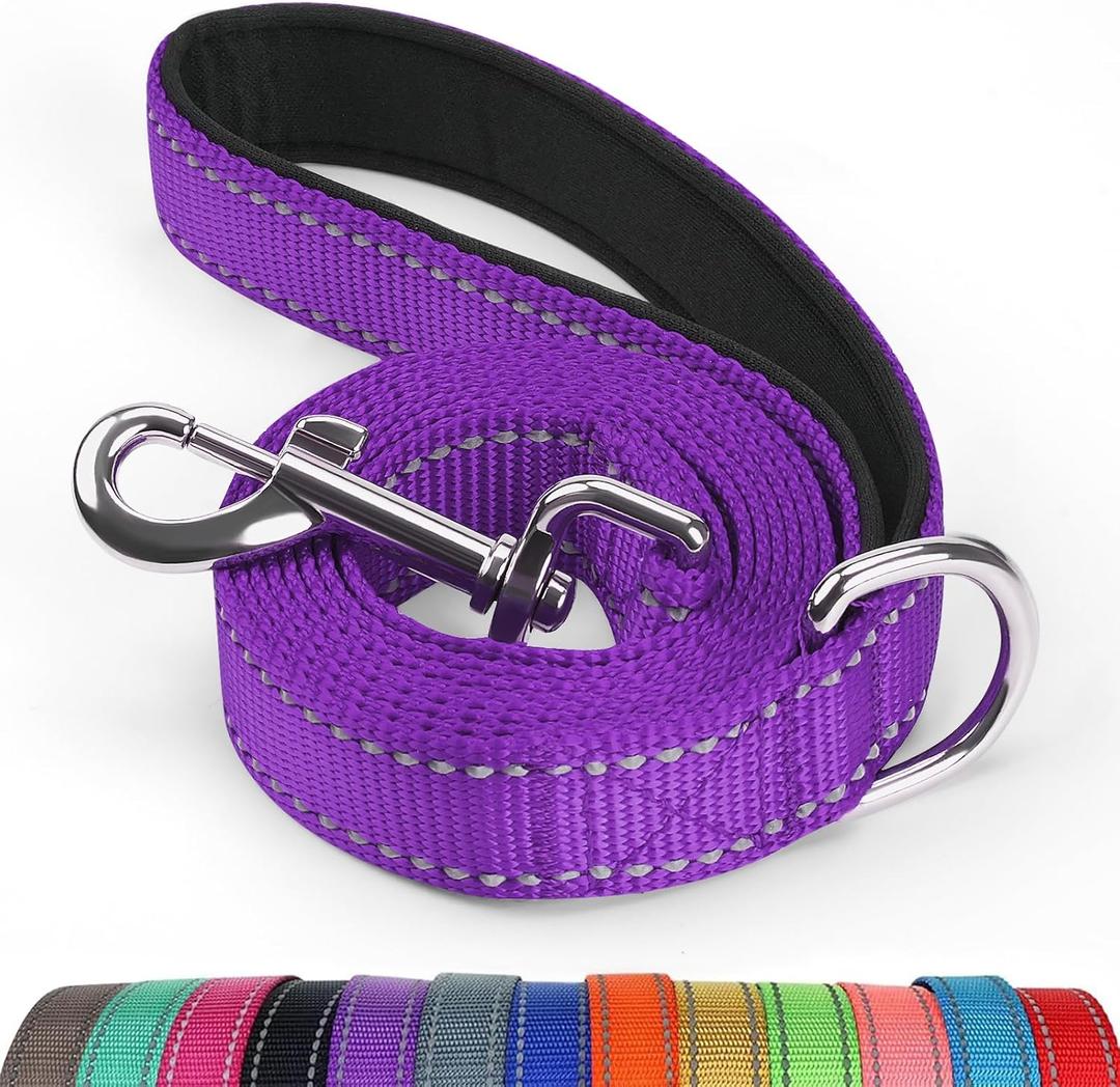 4/5/6 Ft Dog Leash with Neoprene Handle and Highly Reflective Strips on Both Side, Strong Nylon Dog Leash for Traning and Walking, Purple, 4FT